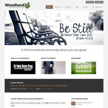 Woodland Church Design Template - Brown